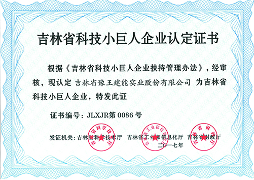 吉林省科技小巨人认定证书