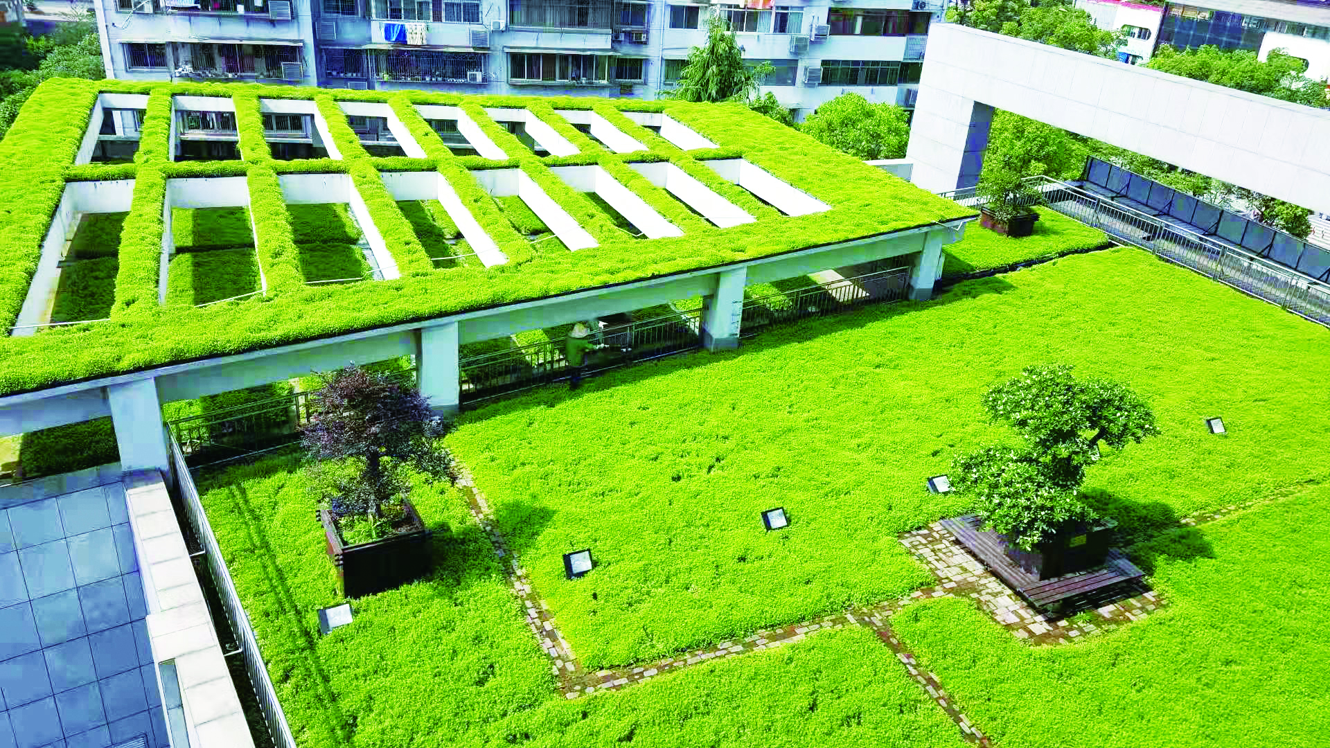 种植屋面案例